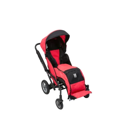 Caretta Buggy Engelli Çocuk Puseti